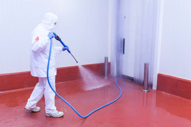 Best Patio and Deck Pressure Washing  in Spanay, WA